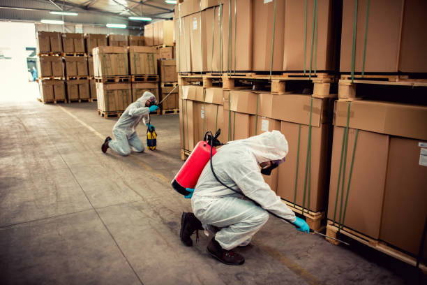 Best Rat Extermination Near Me  in Avonmore, PA