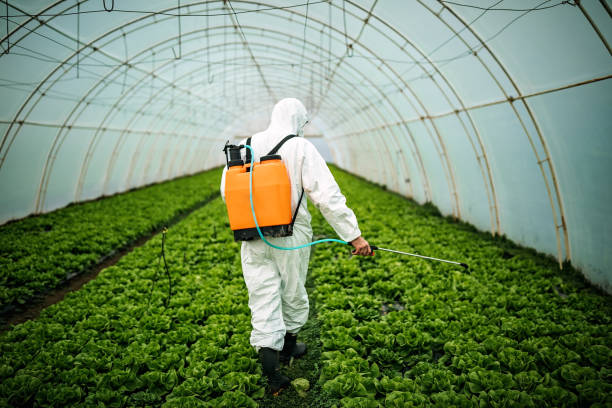 Best Pest Control Near Me  in Avonmore, PA