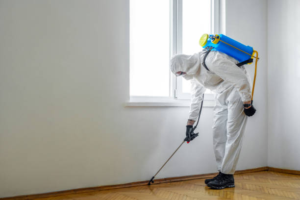 Wildlife Control Services in Avonmore, PA