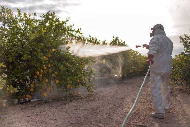 Wildlife Control Services in Avonmore, PA