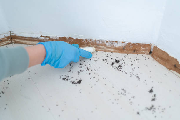 Best Pest Removal Services  in Avonmore, PA