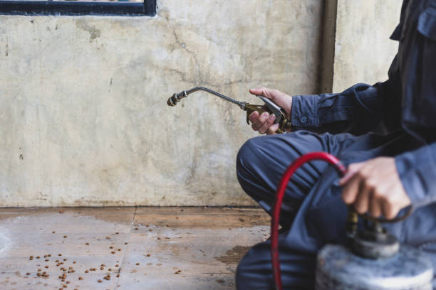 Best Local Pest Control Services  in Avonmore, PA
